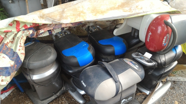 ม้าโยกไฟฟ้า (RODEO BOY ) จากญี่ปุ่นยี่ห้อ THRIVE มีโมดการทำงานหลายแบบ