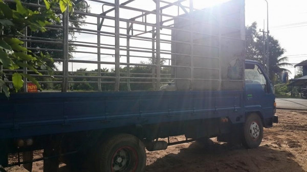 ขายรถ6ล้อ DYNA115 14Bแชชซีสวยเครื่องดี พร้อมคอกแผงเหล็ก ภายในครบ ทะเบียนพร้อมโอน พร้อมใช้งาน