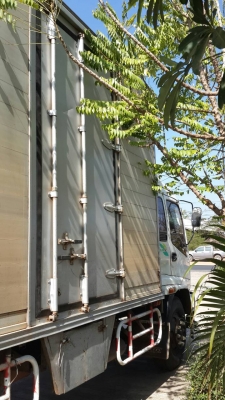 ขาย isuzu ftr forward 900000บาท พร้อมตู้ ขาย isuzu ftr forward 900000บาท พร้อมตู้