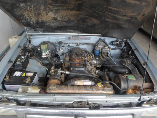 ขายตัดสดไมตี้เอ็ซ์แค็ป96