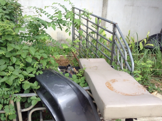 คอกแป๊บดีแม็กตอนเดียวทรงสูงขายถูกไม่มีที่เก็บ