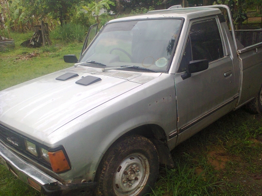 รถดัสสันช้างเหยียบ