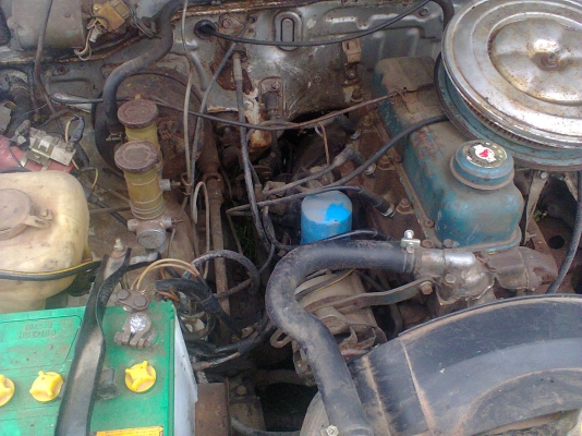 รถดัสสันช้างเหยียบ