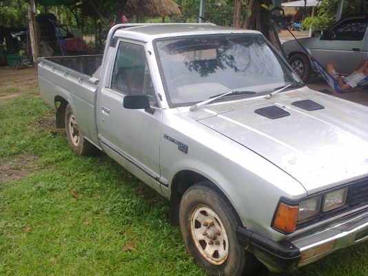 รถดัสสันช้างเหยียบ