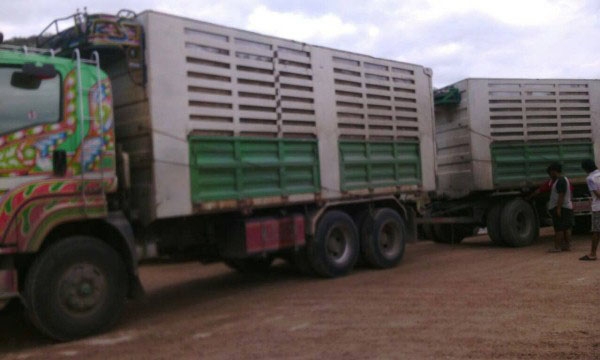 พ่วงแม่ลูกดั๊มพ์คอกเกษตร ยี่ห้อ ISUZU DECA 360 แรงม้า