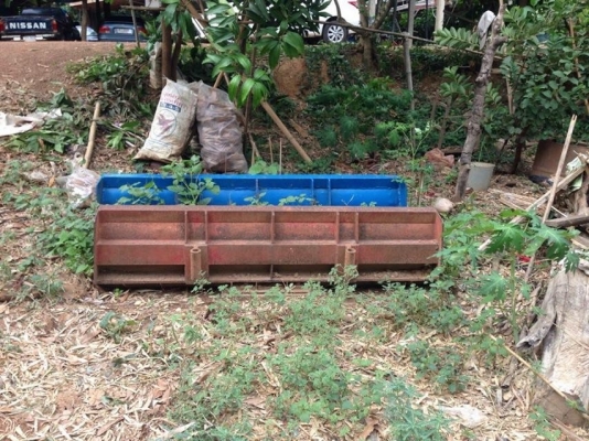 ขายด่วนครับ แมสซี่เฟอร์กูสัน 185 แรง พร้อมใบดันหน้ากับผาพรวน ของ CMT