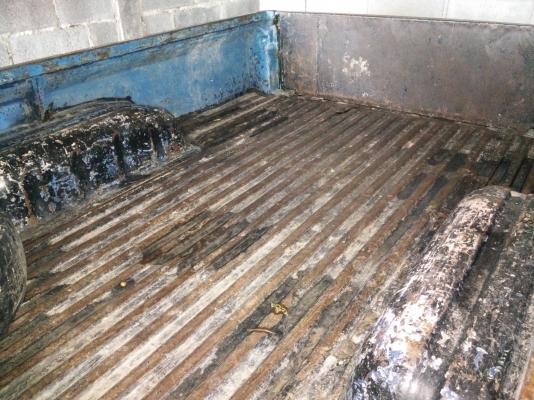 ขายม้ากระโดดสวยๆ ทะเบียนพร้อมโอน