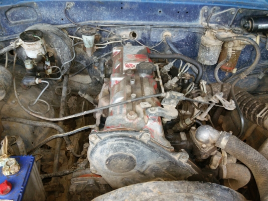 ขายม้ากระโดดสวยๆ ทะเบียนพร้อมโอน