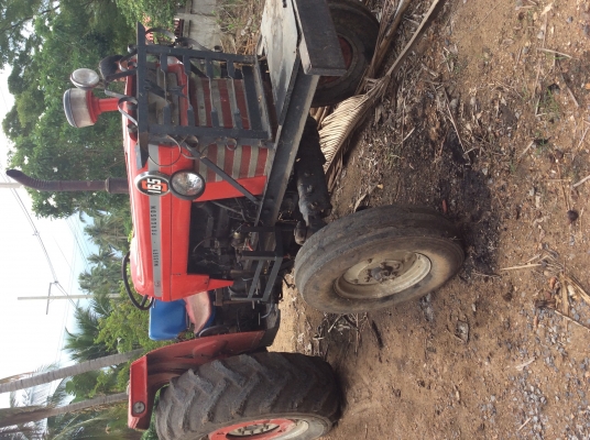 แมสซี่165 แมสซี่165