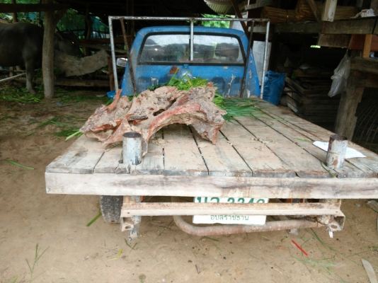 ขาย isuzu kb2200 ราคาถูกๆ.ใช้งานปกติ