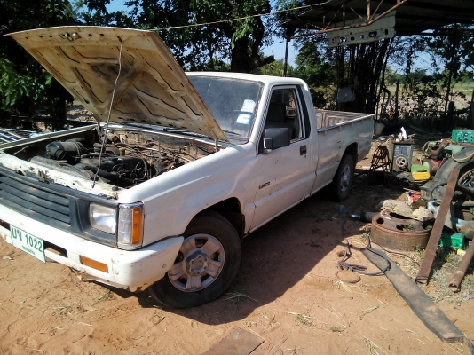 ขายมิตชูไชโคลน