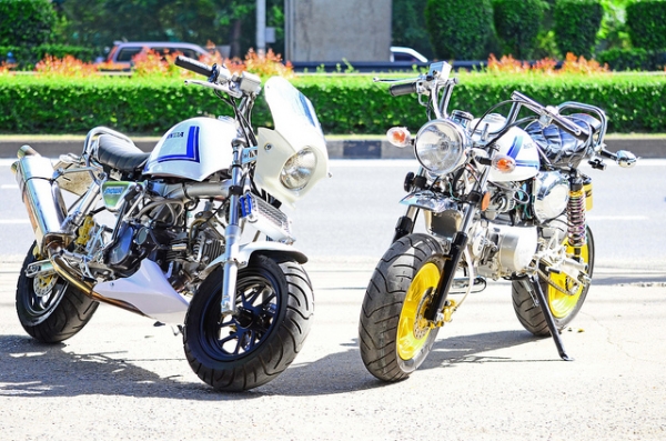 มังกี้ กอลิล่า แต่งๆๆ ลดราคาทุกรุ่นและมีของแถมอีกมากมาย  ด่วนๆๆ ลดๆๆ   เริ่มต้นราคา ที 25900