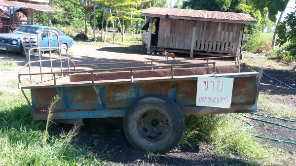 แมสซี่ 165 สวยๆ