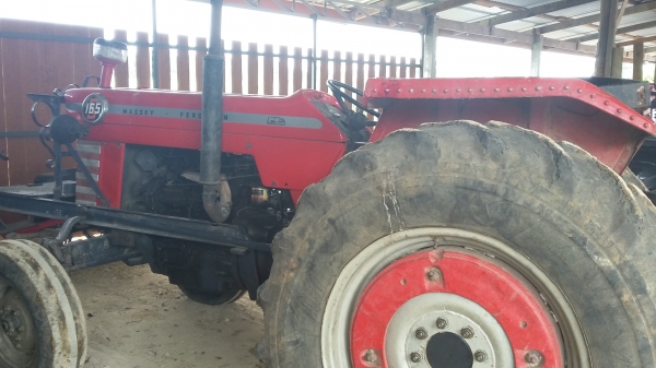 แมสซี่ 165 สวยๆ