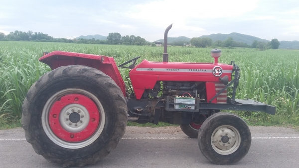 แมสซี่ 165 สวยๆ