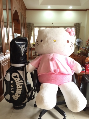 คิตตี้ยักษ์ ตัวหนักอึ้ง ใหญ่กว่าคน ของแท้ ในห้าง5พันกว่า