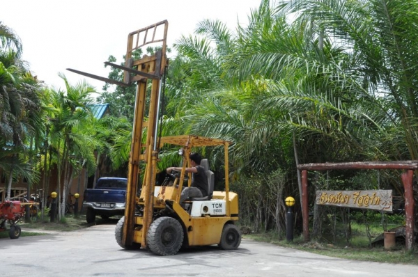 ขายFORKLIFT TCM FD20(2ตัน)ดีเซล สวยเดิมจากญี่ปุ่น ยังไม่เคยใช้ในไทย 129,000เท่านั้น!!