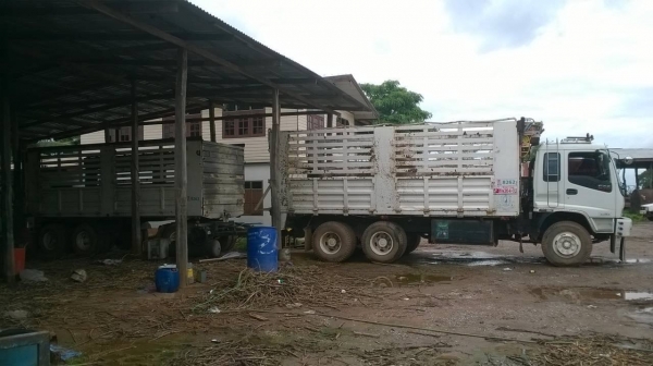 ขายรถพ่วง แม่-ลูกไม่ดั้ม ISUZU DECA 270 Euro2 เครื่องดำ 270 แรงม้า เกียร์เดิม คัสซีสวยตลอดเส้น ลูก 3 คาน 6.50 เมตร ทะเบียนพร้อมโอนครับ