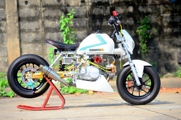 มังกี้ กอลิล่า แต่งๆๆ ลดราคาทุกรุ่นและมีของแถมอีกมากมาย  ด่วนๆๆ ลดๆๆ   เริ่มต้นราคา ที 25900