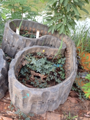 ฝากขายแทรคยาง KOBELCO SK60  สภาพสวยพร้อมใช้ได้ทันที่