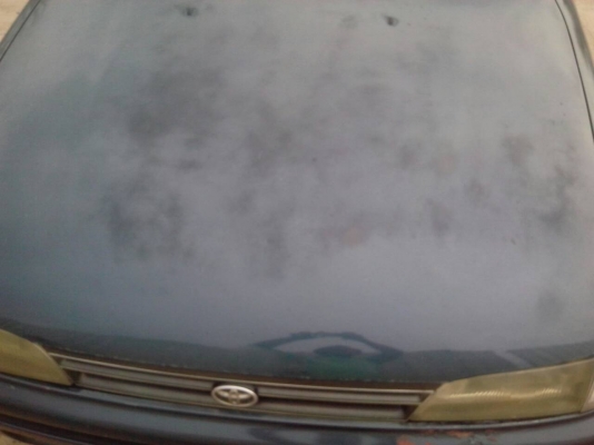 ขายครับขาย รถบ้านแท้ๆสามห่วงออโต้ 1.6 แก๊สLPGหัวฉีด แอร์เย็นขับดี  สีบางเดิม สีซีดบน ไม่เคยชนไม่มีแตะ คานเลขสวยๆ ภายในสวย ราคาสุดเร้า **__57000฿__**โทรมาจะสดวกว่าครับ ถ่ายรูปไม่มีแต่งแอปครับ ขายสดไม่รับผ่อนครับ อยู่***บางปะหัน อยุธยา*** 0910242919 true 08