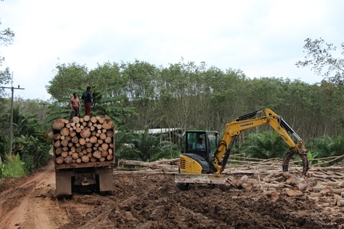 NDT THAILAND ตัวแทนจำหน่าย YANMAR มือ 1 รถขุดคุณภาพจากญี่ปุ่นแท้ และพร้อมรับประกันคุณภาพหลังการขาย NDT THAILAND ตัวแทนจำหน่าย YANMAR มือ 1 รถขุดคุณภาพจากญี่ปุ่นแท้ และพร้อมรับประกันคุณภาพหลังการขาย