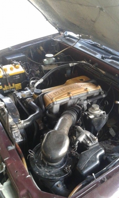 ขายISUZU มังกรทอง ขายISUZU มังกรทอง