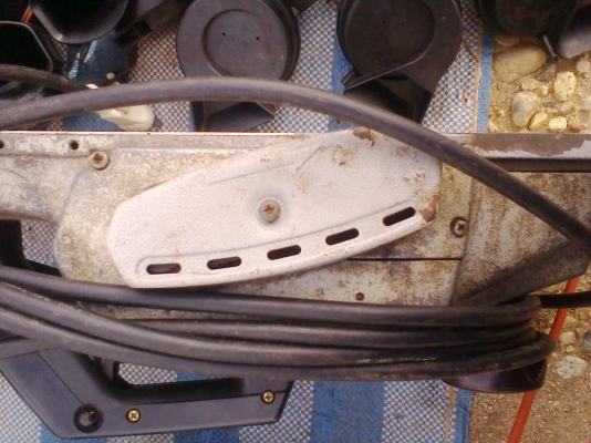 กบ 5  นิ้วมากีตา