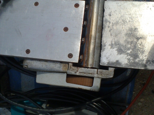 กบ 5  นิ้วมากีตา