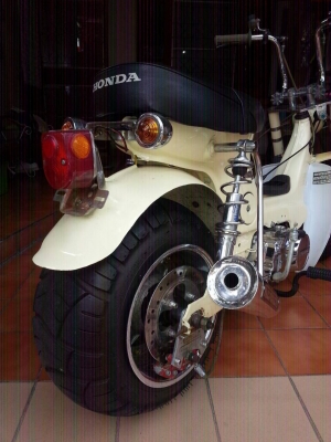 ขายด่วน ชาลี ขายด่วน ชาลี