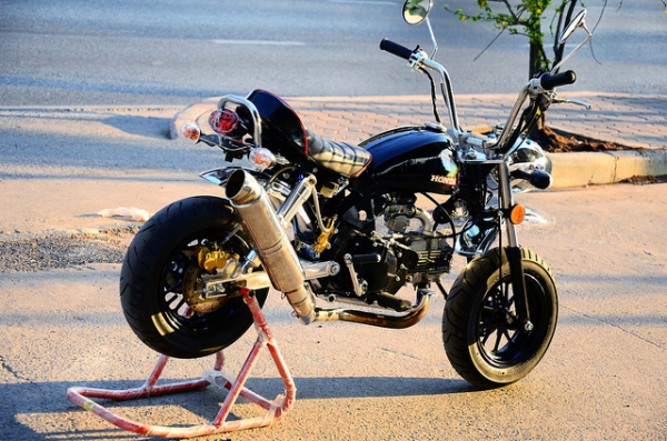 มังกี้ กอลิล่า แต่งๆๆ ลดราคาทุกรุ่นและมีของแถมอีกมากมาย  ด่วนๆๆ ลดๆๆ   เริ่มต้นราคา ที 25900