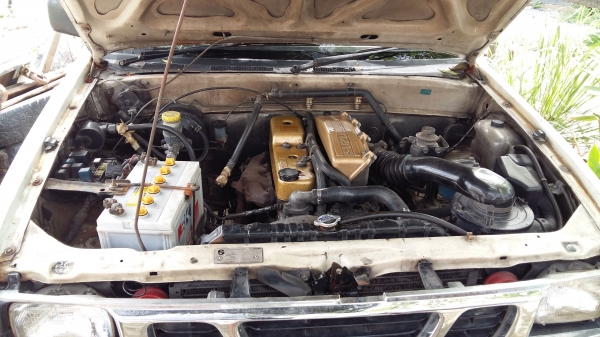 ขายกะบะตอนเดียวยอดนิยม