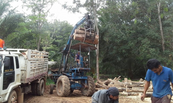 ขายรถคีปไม้ FORD เครื่องรุ่น 5500 ที่คีปแบบหมุนได้ เอกสารอินวอย จากมาเลเซีย ราคา 220000