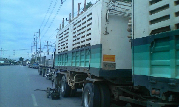 ขายพ่วงดั๊มแม่ลูก