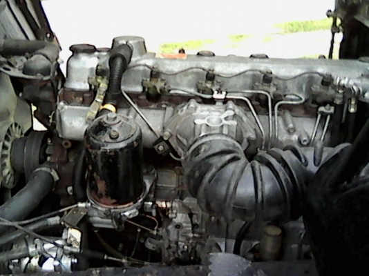 ขายด่วนหกลัอดั้มมิตซูยาง9.00 ขายด่วนหกลัอดั้มมิตซูยาง9.00