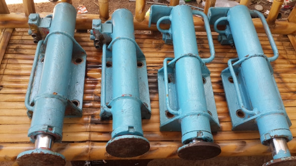 ขายขาช้าง