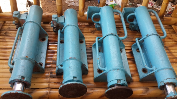 ขายขาช้าง