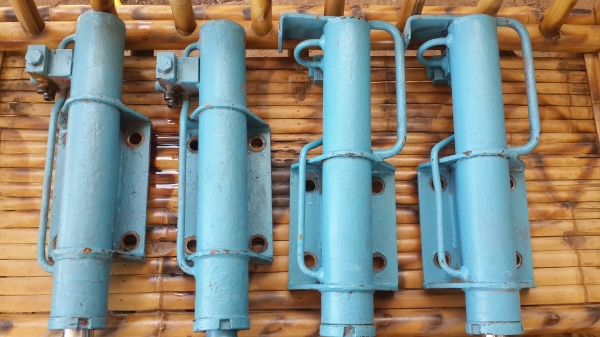 ขายขาช้าง