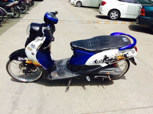 ขาย fino 53 ขาย fino 53