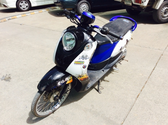 ขาย fino 53 ขาย fino 53