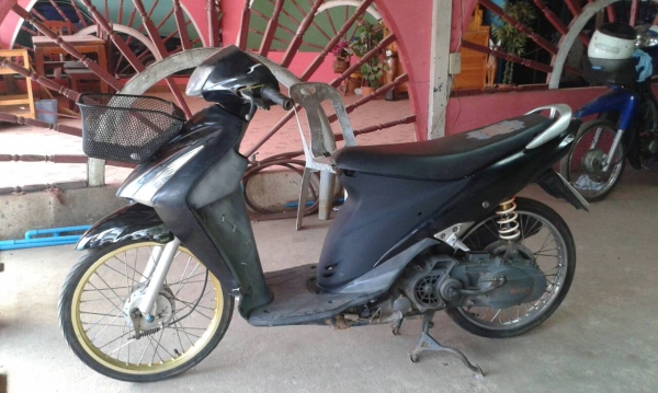 สเตป สเตป