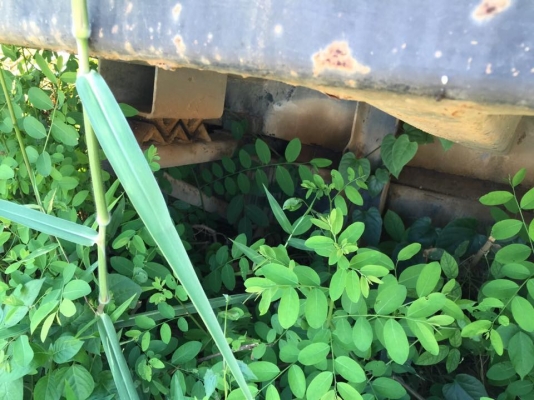 ขาย กระบะดั้มสามมิตร SMM ปี 48 สภาพไม่สวย มีคัสซีเทียม กระบอกยกครบ ขาย กระบะดั้มสามมิตร SMM ปี 48 สภาพไม่สวย มีคัสซีเทียม กระบอกยกครบ