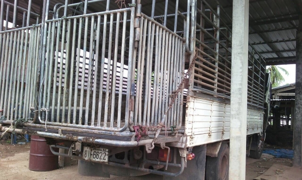 ขาย6ล้อHINO FC9J เมก้า500แท้ ปี52 ยูโร3กระบะยาว5.50เมตรพร้อมคอกแป็ป