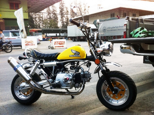 มังกี้ กอลิล่า แต่งๆๆ ลดราคาทุกรุ่นและมีของแถมอีกมากมาย  ด่วนๆๆ ลดๆๆ   เริ่มต้นราคา ที 25900