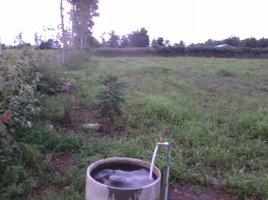 ขายที่ดิน เอกสาร ภบท.๕ ไร่ละ ๔๐๐,๐๐๐ บาท เนื้อที่ ๒ ไร่ ๑ งาน ที่อยู่ บ้านหนองปลวก ม.๖ ต.แก่งเสี้ยน อ.เมือง กาญจนบุรี เบอร์โทร 084-3947781 (โก้)