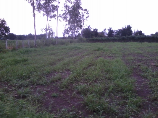 ขายที่ดิน เอกสาร ภบท.๕ ไร่ละ ๔๐๐,๐๐๐ บาท เนื้อที่ ๒ ไร่ ๑ งาน ที่อยู่ บ้านหนองปลวก ม.๖ ต.แก่งเสี้ยน อ.เมือง กาญจนบุรี เบอร์โทร 084-3947781 (โก้) ขายที่ดิน เอกสาร ภบท.๕ ไร่ละ ๔๐๐,๐๐๐ บาท เนื้อที่ ๒ ไร่ ๑ งาน ที่อยู่ บ้านหนองปลวก ม.๖ ต.แก่งเสี้ยน อ.เมือง กาญจนบุรี เบอร์โทร 084-3947781 (โก้)