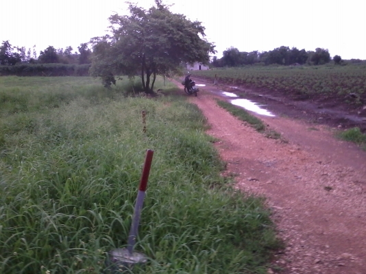 ขายที่ดิน เอกสาร ภบท.๕ ไร่ละ ๔๐๐,๐๐๐ บาท เนื้อที่ ๒ ไร่ ๑ งาน ที่อยู่ บ้านหนองปลวก ม.๖ ต.แก่งเสี้ยน อ.เมือง กาญจนบุรี เบอร์โทร 084-3947781 (โก้) ขายที่ดิน เอกสาร ภบท.๕ ไร่ละ ๔๐๐,๐๐๐ บาท เนื้อที่ ๒ ไร่ ๑ งาน ที่อยู่ บ้านหนองปลวก ม.๖ ต.แก่งเสี้ยน อ.เมือง กาญจนบุรี เบอร์โทร 084-3947781 (โก้)