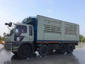 HINO พร้อมใช้งาน แม่ ลูก HINO พร้อมใช้งาน แม่ ลูก