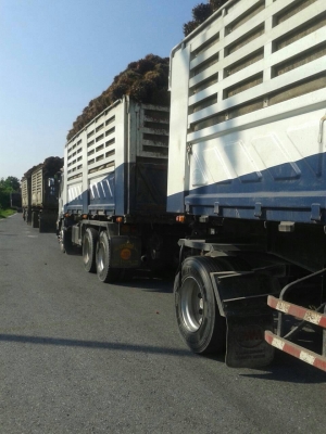 สิบล้อพ่วง อีซูซุ FVZ300ปี54แม่ดั้ม+ลูกปี55ดั้ม3คานยัดลงเลีมแล้ว สภาพดีสวยพร้อมวิ่งงาน เล่มทะเบียนพร้อมโอน