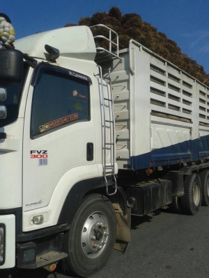 สิบล้อพ่วง อีซูซุ FVZ300ปี54แม่ดั้ม+ลูกปี55ดั้ม3คานยัดลงเลีมแล้ว สภาพดีสวยพร้อมวิ่งงาน เล่มทะเบียนพร้อมโอน